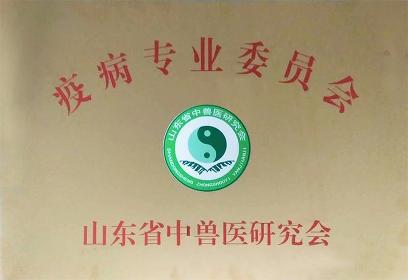 資質榮譽